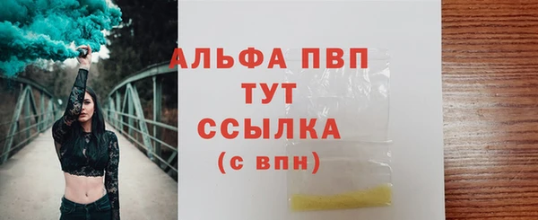 шишки Арсеньев