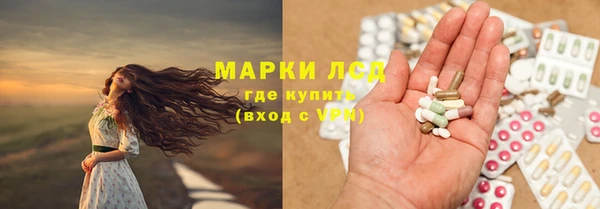шишки Арсеньев