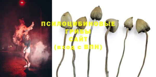 мдпв Нефтегорск