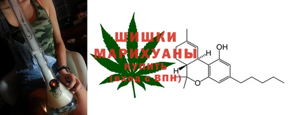 молекула духа Нефтекумск