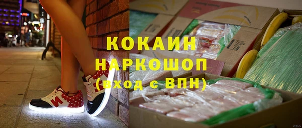 шишки Арсеньев
